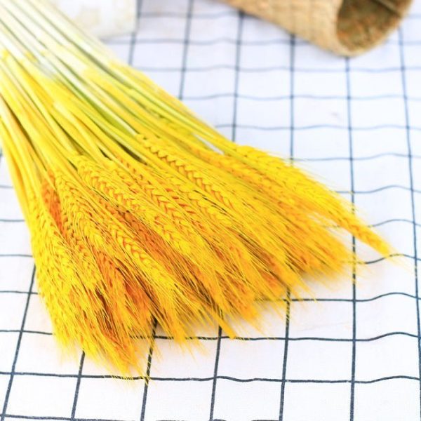 Accessories Natural Dried Wheat - Living Simply House